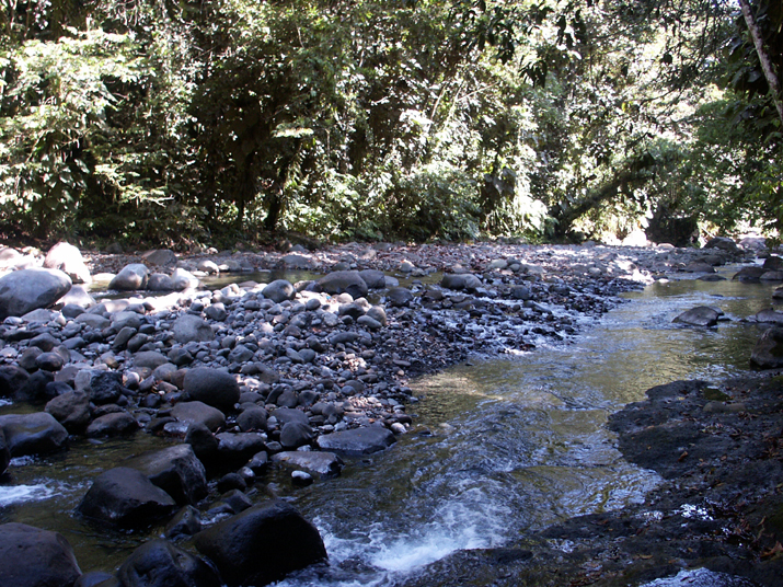 18a - Cascade aux Ecrevisses 011.jpg - DCF 1.0
